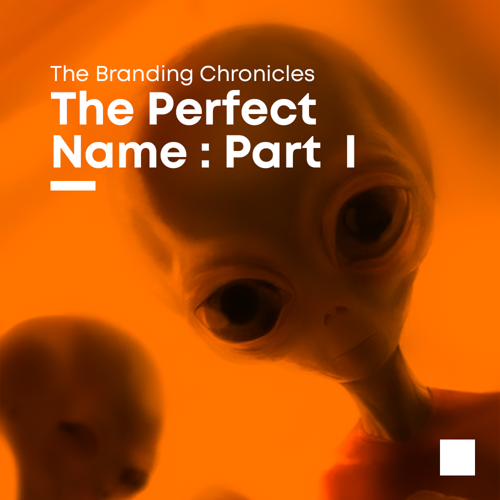 the-perfect-name