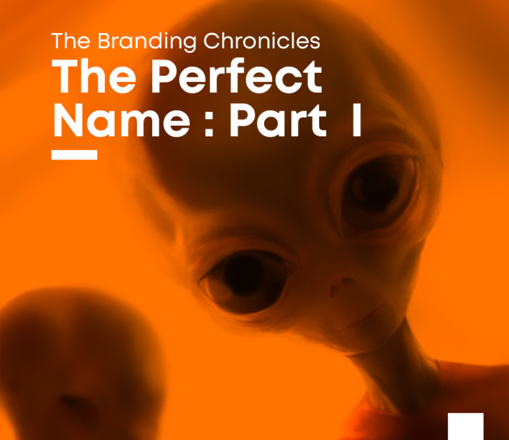 the-perfect-name